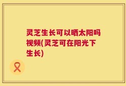 灵芝生长可以晒太阳吗视频(灵芝可在阳光下生长)