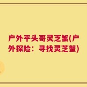 户外平头哥灵芝蟹(户外探险：寻找灵芝蟹)