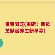 目舌灵芝(重磅！舌灵芝掀起养生新革命)
