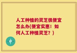 人工种植的灵芝很便宜怎么办(便宜实惠！如何人工种植灵芝？)