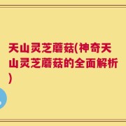 天山灵芝蘑菇(神奇天山灵芝蘑菇的全面解析)