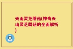 天山灵芝蘑菇(神奇天山灵芝蘑菇的全面解析)