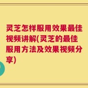 灵芝怎样服用效果最佳视频讲解(灵芝的最佳服用方法及效果视频分享)