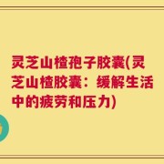 灵芝山楂孢子胶囊(灵芝山楂胶囊：缓解生活中的疲劳和压力)