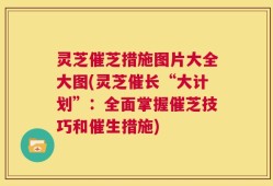 灵芝催芝措施图片大全大图(灵芝催长“大计划”：全面掌握催芝技巧和催生措施)