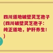 四川道地破壁灵芝孢子(四川破壁灵芝孢子：纯正道地，护肝养生！)