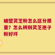 破壁灵芝粉怎么区分质量？怎么辨别灵芝孢子粉好坏