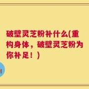 破壁灵芝粉补什么(重构身体，破壁灵芝粉为你补足！)