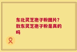东北灵芝孢子粉图片？敖东灵芝孢子粉是真的吗