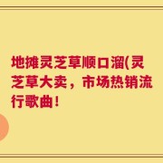 地摊灵芝草顺口溜(灵芝草大卖，市场热销流行歌曲！
