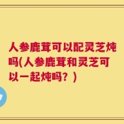 人参鹿茸可以配灵芝炖吗(人参鹿茸和灵芝可以一起炖吗？)