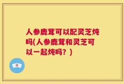 人参鹿茸可以配灵芝炖吗(人参鹿茸和灵芝可以一起炖吗？)