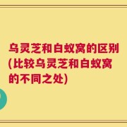 乌灵芝和白蚁窝的区别(比较乌灵芝和白蚁窝的不同之处)
