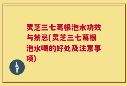 灵芝三七葛根泡水功效与禁忌(灵芝三七葛根泡水喝的好处及注意事项)