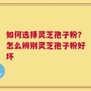 如何选择灵芝孢子粉？怎么辨别灵芝孢子粉好坏