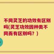 不同灵芝的功效有区别吗(灵芝功效因种类不同而有区别吗？)