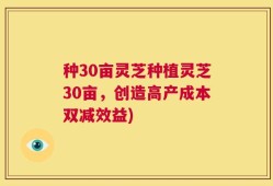 种30亩灵芝种植灵芝30亩，创造高产成本双减效益)
