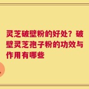 灵芝破壁粉的好处？破壁灵芝孢子粉的功效与作用有哪些