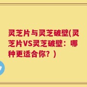 灵芝片与灵芝破壁(灵芝片VS灵芝破壁：哪种更适合你？)