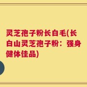 灵芝孢子粉长白毛(长白山灵芝孢子粉：强身健体佳品)