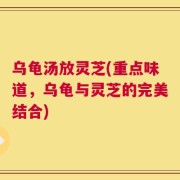 乌龟汤放灵芝(重点味道，乌龟与灵芝的完美结合)