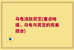 乌龟汤放灵芝(重点味道，乌龟与灵芝的完美结合)