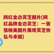 网红金边灵芝图片(网红品牌金边灵芝：一张张精美图片展现灵芝恢弘与卓越)