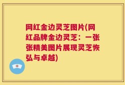 网红金边灵芝图片(网红品牌金边灵芝：一张张精美图片展现灵芝恢弘与卓越)