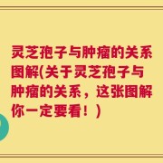 灵芝孢子与肿瘤的关系图解(关于灵芝孢子与肿瘤的关系，这张图解你一定要看！)