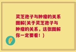 灵芝孢子与肿瘤的关系图解(关于灵芝孢子与肿瘤的关系，这张图解你一定要看！)