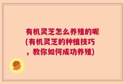有机灵芝怎么养殖的呢(有机灵芝的种植技巧，教你如何成功养殖)