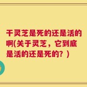 干灵芝是死的还是活的啊(关于灵芝，它到底是活的还是死的？)