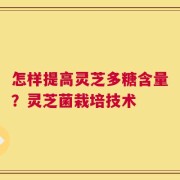 怎样提高灵芝多糖含量？灵芝菌栽培技术