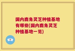 国内鹿角灵芝种植基地有哪些(国内鹿角灵芝种植基地一览)