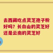 去西藏吃点灵芝孢子粉好吗？长白山的灵芝好还是云南的灵芝好