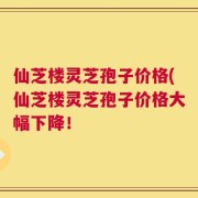 仙芝楼灵芝孢子价格(仙芝楼灵芝孢子价格大幅下降！