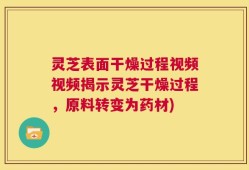 灵芝表面干燥过程视频视频揭示灵芝干燥过程，原料转变为药材)