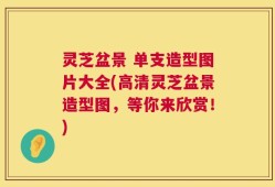 灵芝盆景 单支造型图片大全(高清灵芝盆景造型图，等你来欣赏！)