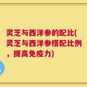 灵芝与西洋参的配比(灵芝与西洋参搭配比例，提高免疫力)