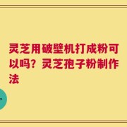 灵芝用破壁机打成粉可以吗？灵芝孢子粉制作法
