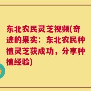 东北农民灵芝视频(奇迹的果实：东北农民种植灵芝获成功，分享种植经验)