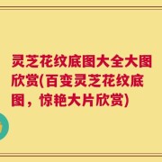灵芝花纹底图大全大图欣赏(百变灵芝花纹底图，惊艳大片欣赏)