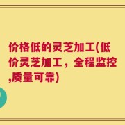 价格低的灵芝加工(低价灵芝加工，全程监控,质量可靠)