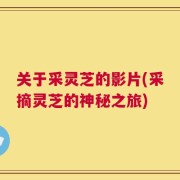 关于采灵芝的影片(采摘灵芝的神秘之旅)