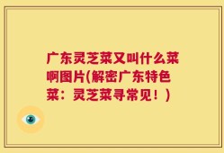 广东灵芝菜又叫什么菜啊图片(解密广东特色菜：灵芝菜寻常见！)