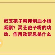 灵芝孢子粉抑制血小板凝聚？灵芝孢子粉的功效、作用及禁忌是什么