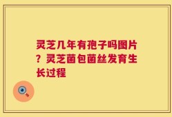 灵芝几年有孢子吗图片？灵芝菌包菌丝发育生长过程
