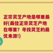 正宗灵芝产地是哪里最好(最佳正宗灵芝产地在哪里？寻找灵芝的最优来源!)