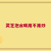 灵芝泡水喝用不用炒