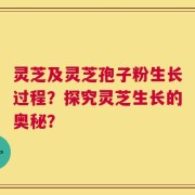 灵芝及灵芝孢子粉生长过程？探究灵芝生长的奥秘？
